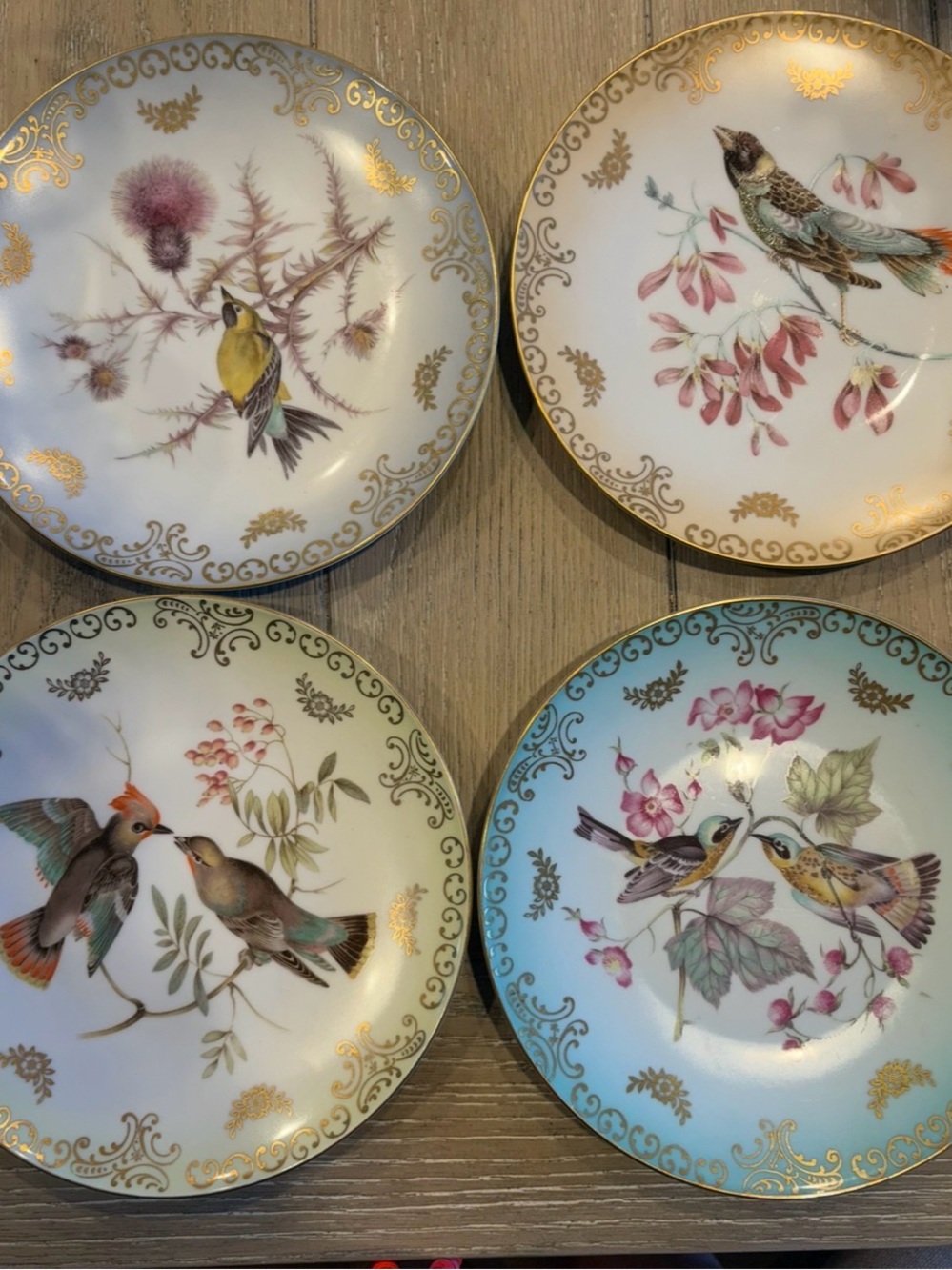 Mint bird plates vintage Bavaria, Germany- set of four
